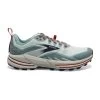 Women's Brooks Cascadia 16 - 120363 1B 480